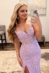 Trumpet/Mermaid Sleeveless Spaghetti Straps Sweep/Brush Train Lace Tulle Prom Dresses