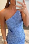 Sheath/Column One-Shoulder Sleeveless Sweep Train Tulle Prom Dresses with Appliqued Beading Split